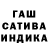 Каннабис сатива Shveps 24
