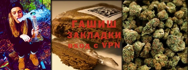 PSILOCYBIN Алзамай