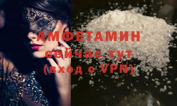 винт Абаза