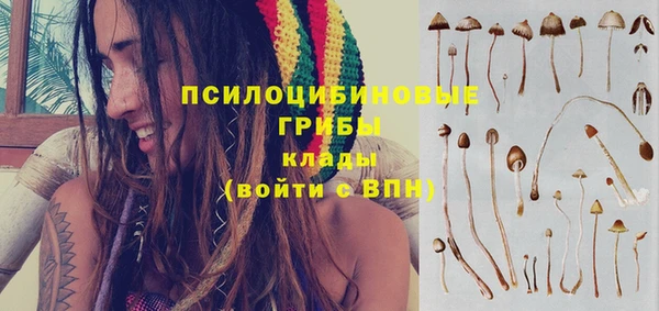 винт Абаза