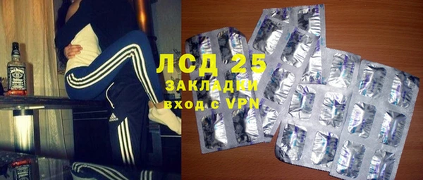 PSILOCYBIN Алзамай