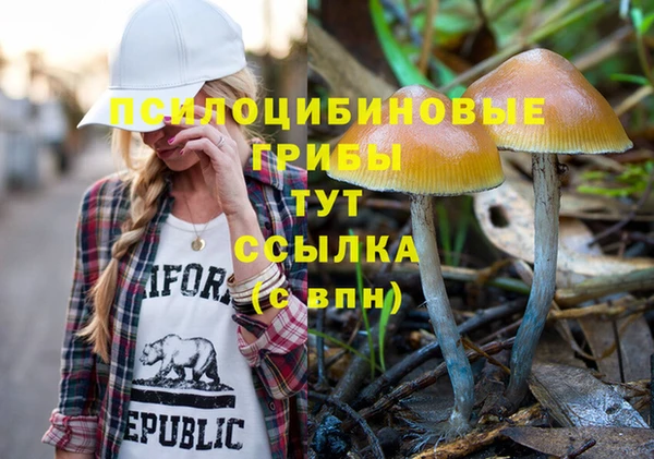 PSILOCYBIN Алзамай