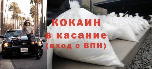 PSILOCYBIN Алзамай