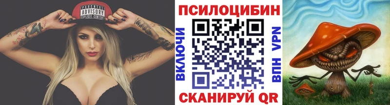 где можно купить   Трубчевск  KRAKEN зеркало  Псилоцибиновые грибы прущие грибы 